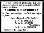 Polder van de Arendje Henderina (n.n.).jpg